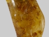 borostyan