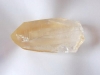 golden-lemurian